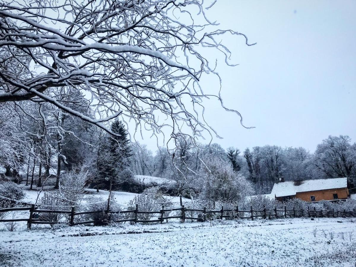 Le Mas De Planaise Saint-Jean-d'Avelanne Exteriér fotografie
