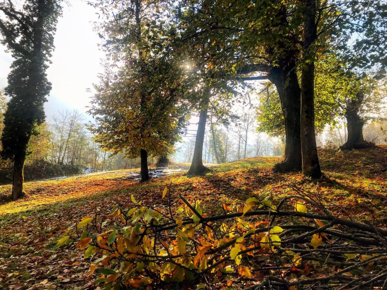 Le Mas De Planaise Saint-Jean-d'Avelanne Exteriér fotografie
