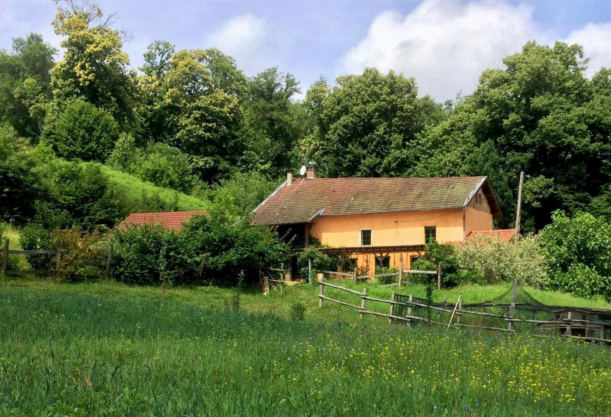 Le Mas De Planaise Saint-Jean-d'Avelanne Exteriér fotografie